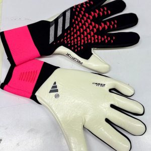 whatsapp image 2025 07 17 at 08.30.01